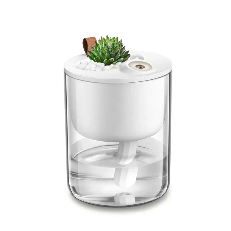 Creative Small Ecological Large Capacity Humidifier - Bellarte Enchanté Creative Small Ecological Large Capacity Humidifier